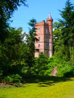 Photograph of the Gothic Tower, Painshill Park by Fred Holmes, June 2006. Copyright: Fred Holmes.