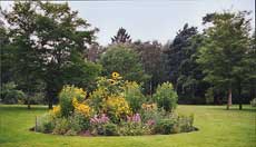 Photograph of an island flower bed on the Elysian Plain, Painshill Park. Copyright Painshill Park Trust.