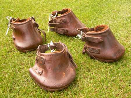 Set of 4 horseboots, Harlow Carr collection. Photograph copyright: Marilyn Elm and RHS Harlow Carr.