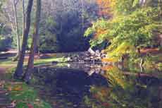 Photograph of the west end of the lake, Painshill Park, by Fred Holmes, November 2005. Copyright: Fred Holmes.