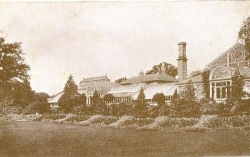 Birmingham Botanical Gardnes Glasshouses in 1920