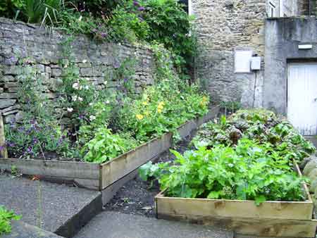 The garden at the Richmondshire Museum, Swaledale in its first year. Photograph by Sally Reckert, 2008.