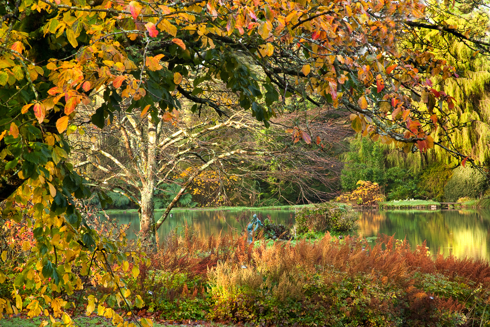 Marwood Hill Gardens in the Autumn