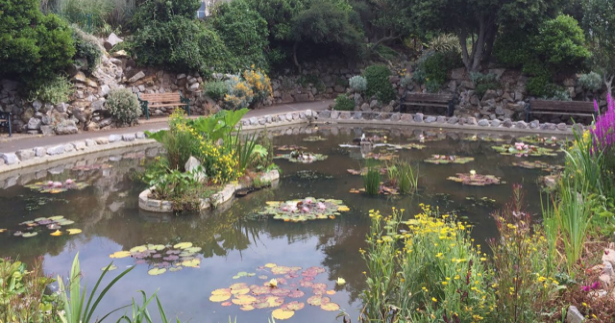 Prince Consort Gardens - Weston-super-Mare - Parks & Gardens