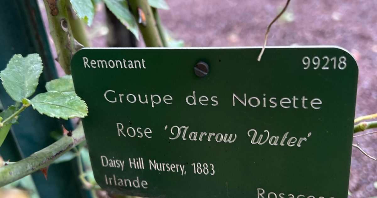 Daisy Hill Nursery Newry Parks & Gardens