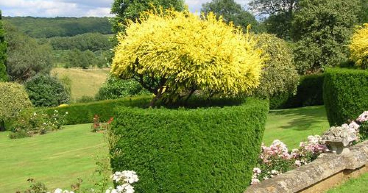 Mount Ephraim Nr Faversham Parks & Gardens