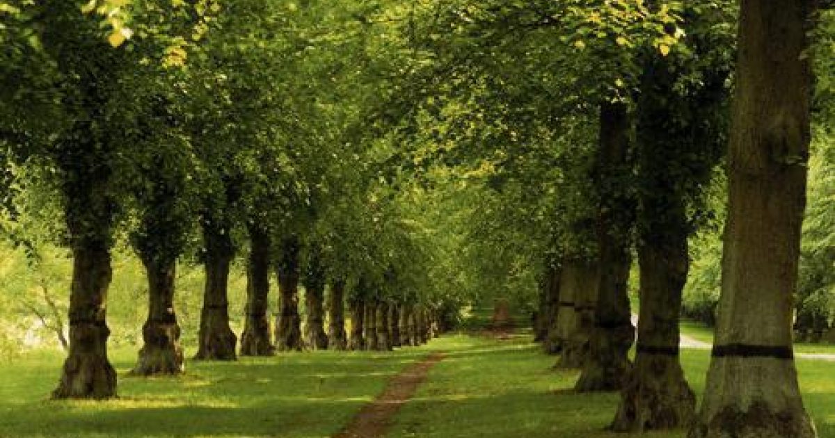 Clumber Park Worksop Parks & Gardens