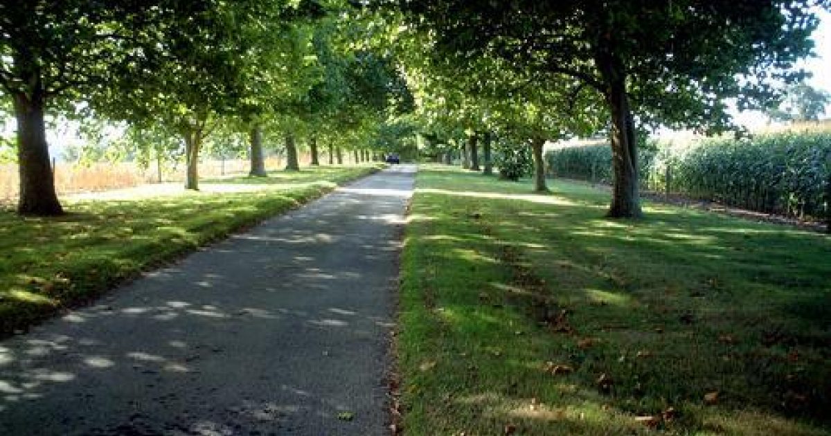 Brympton d'Evercy Yeovil Parks & Gardens