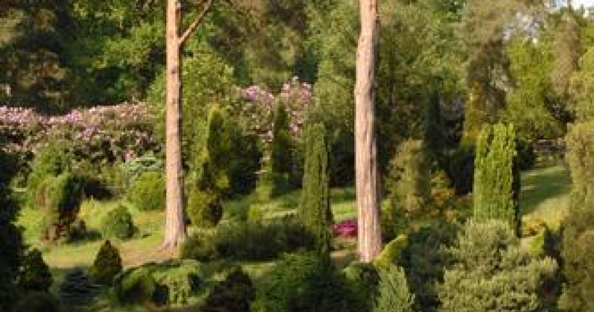 Bedgebury National Cranbrook Parks & Gardens