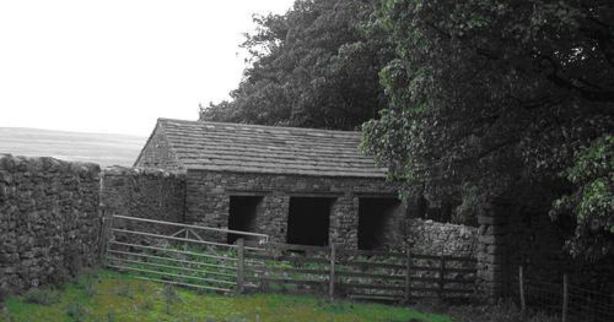 Buckden House and Redmire Wood Wharfedale Parks & Gardens