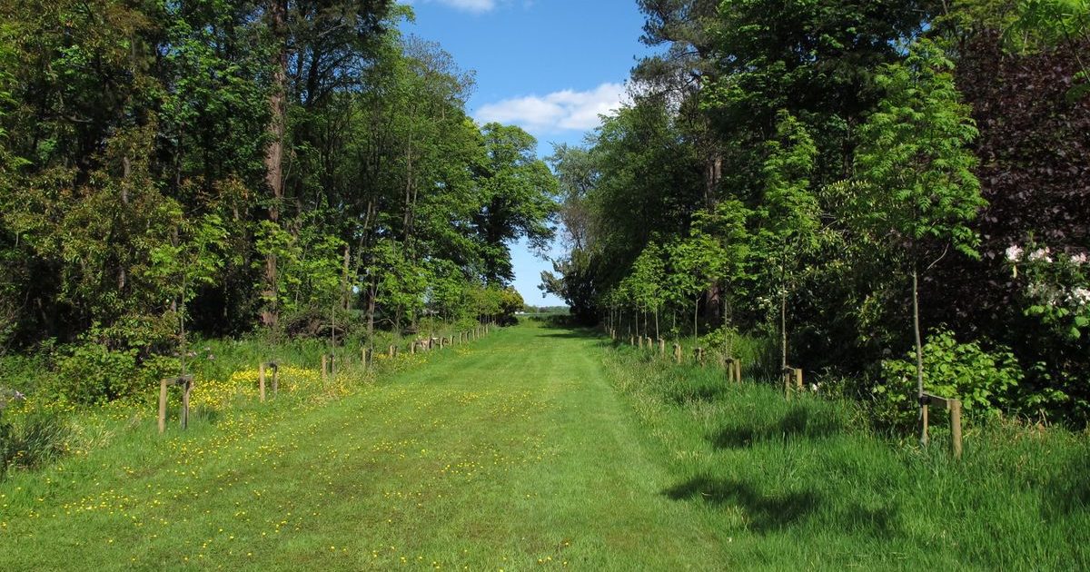 Newliston Kirkliston Parks & Gardens