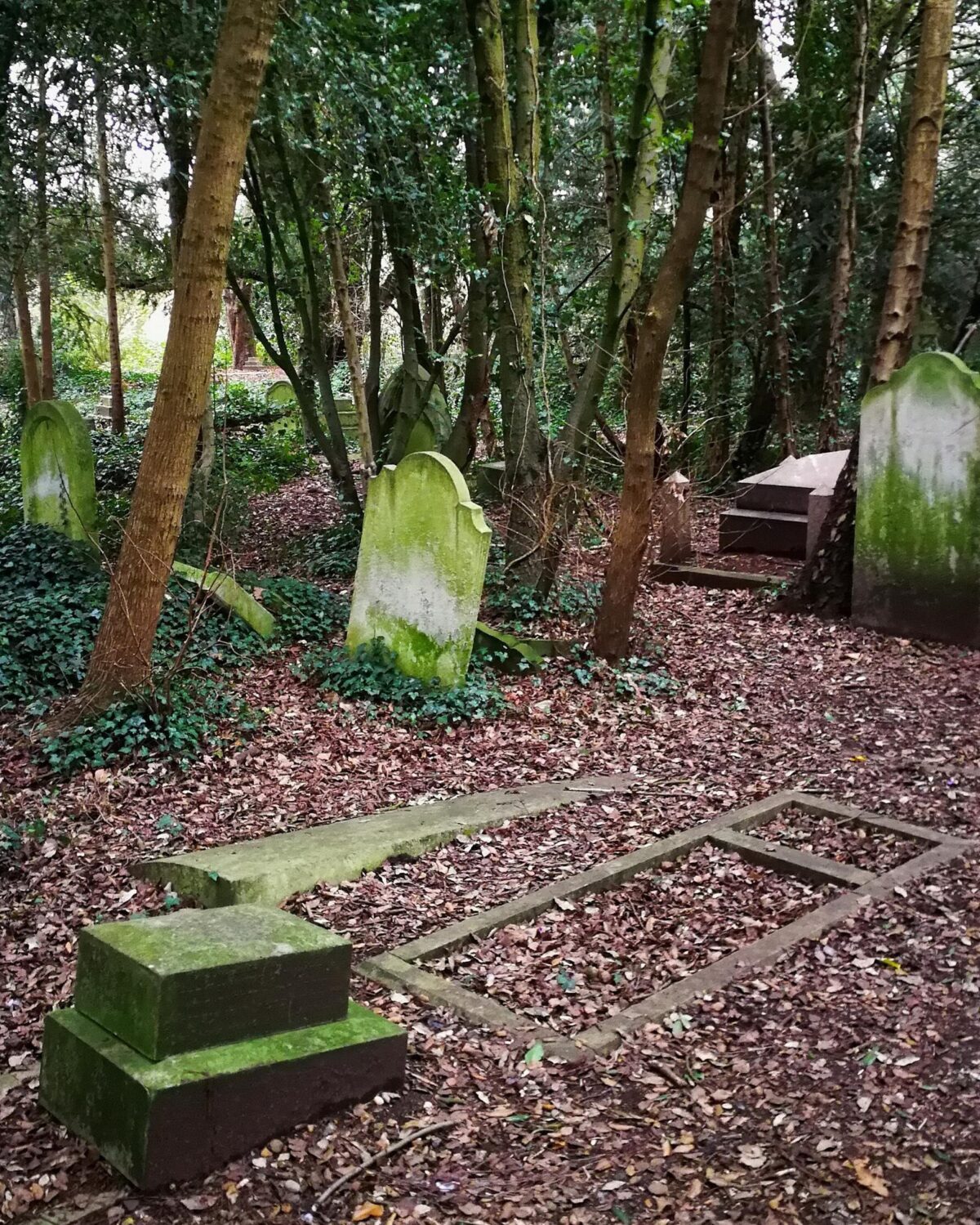 Three graves covered with fallen autumn leaves Old Barnes Cemetery