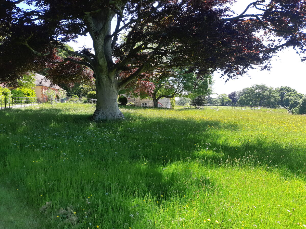 A la Ronde house and stable block