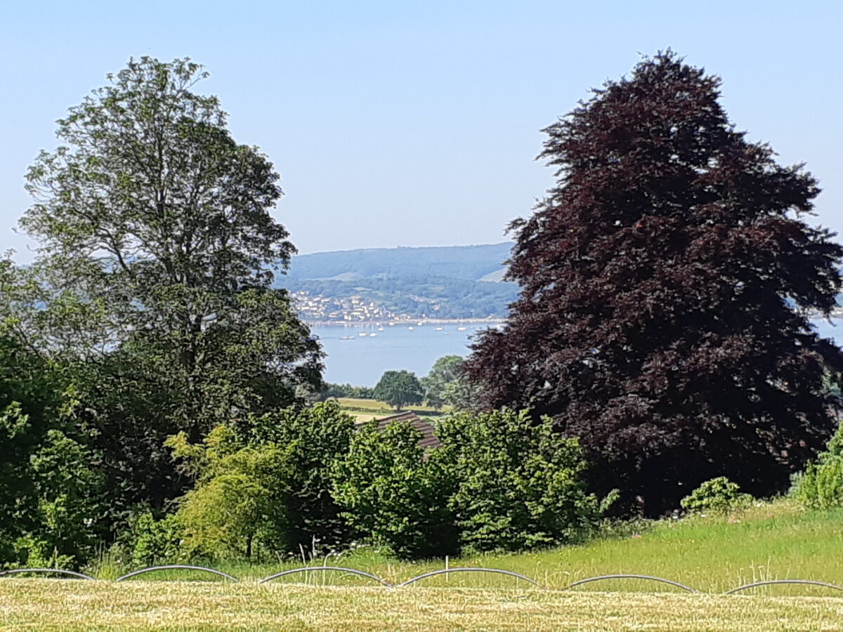 A la Ronde view from croquet lawn