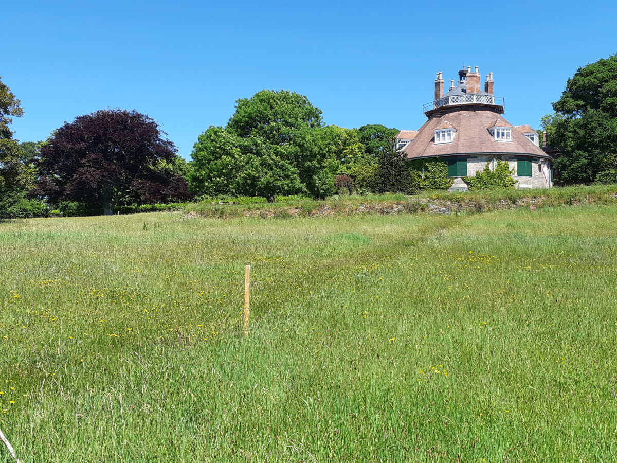 A la Ronde house viewed from meadow