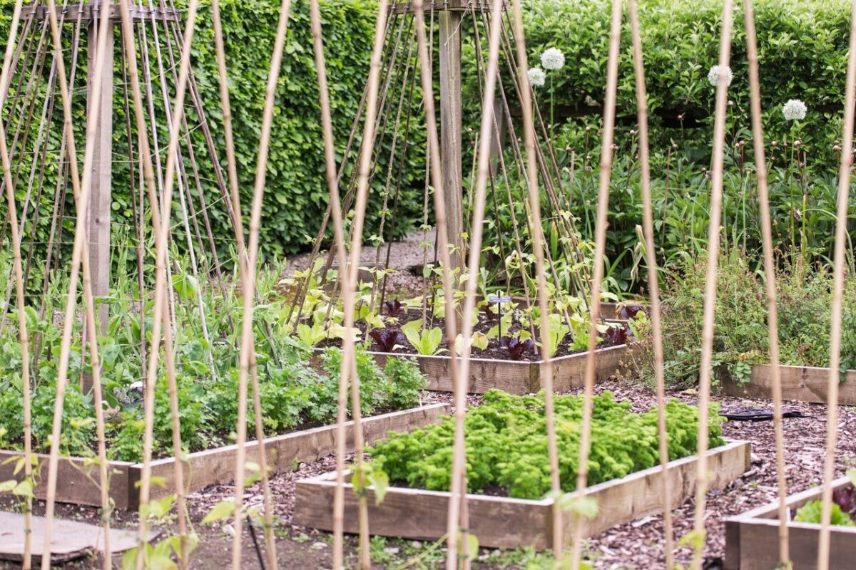 Askham hall kitchen garden
