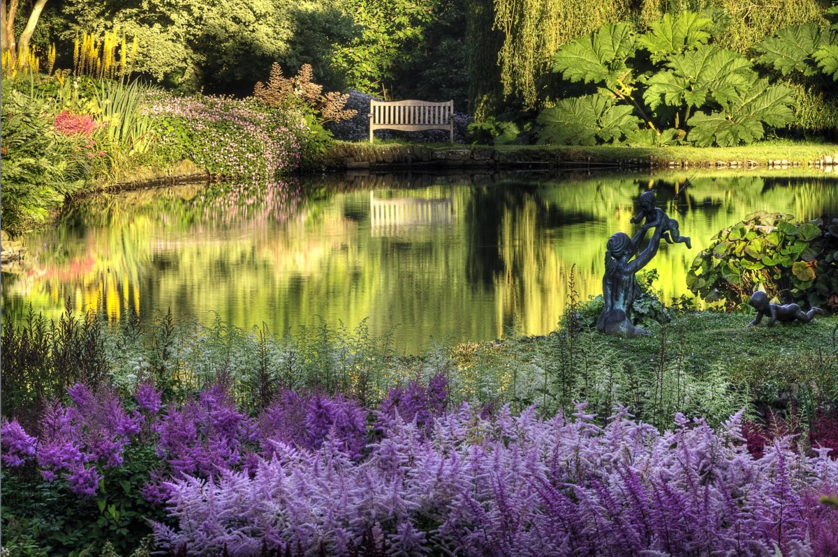 Astilbes and lake