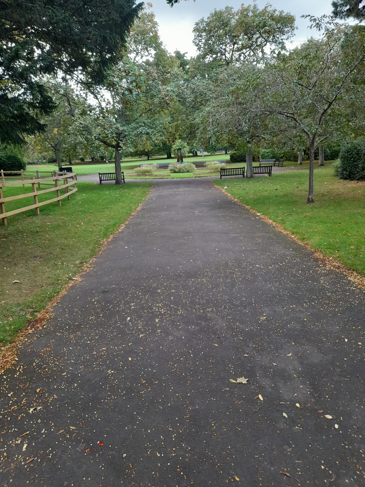 Blenheim Gardens - Main Entrance from Blenheim Road / North Road corner