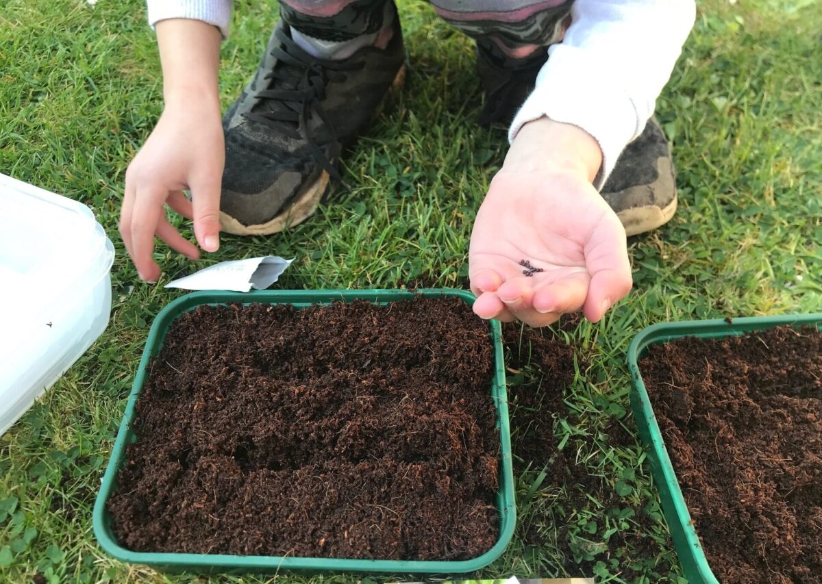 Child planting seeds