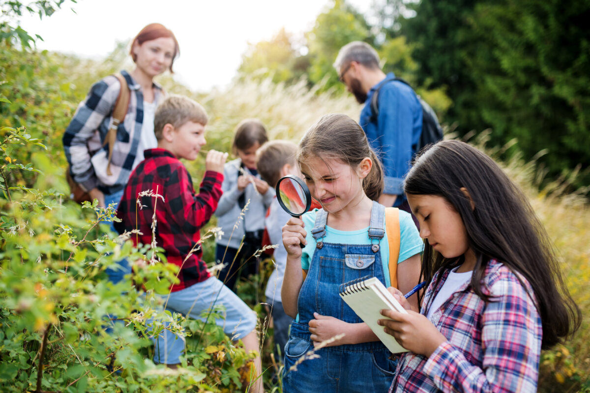 Children researching nature