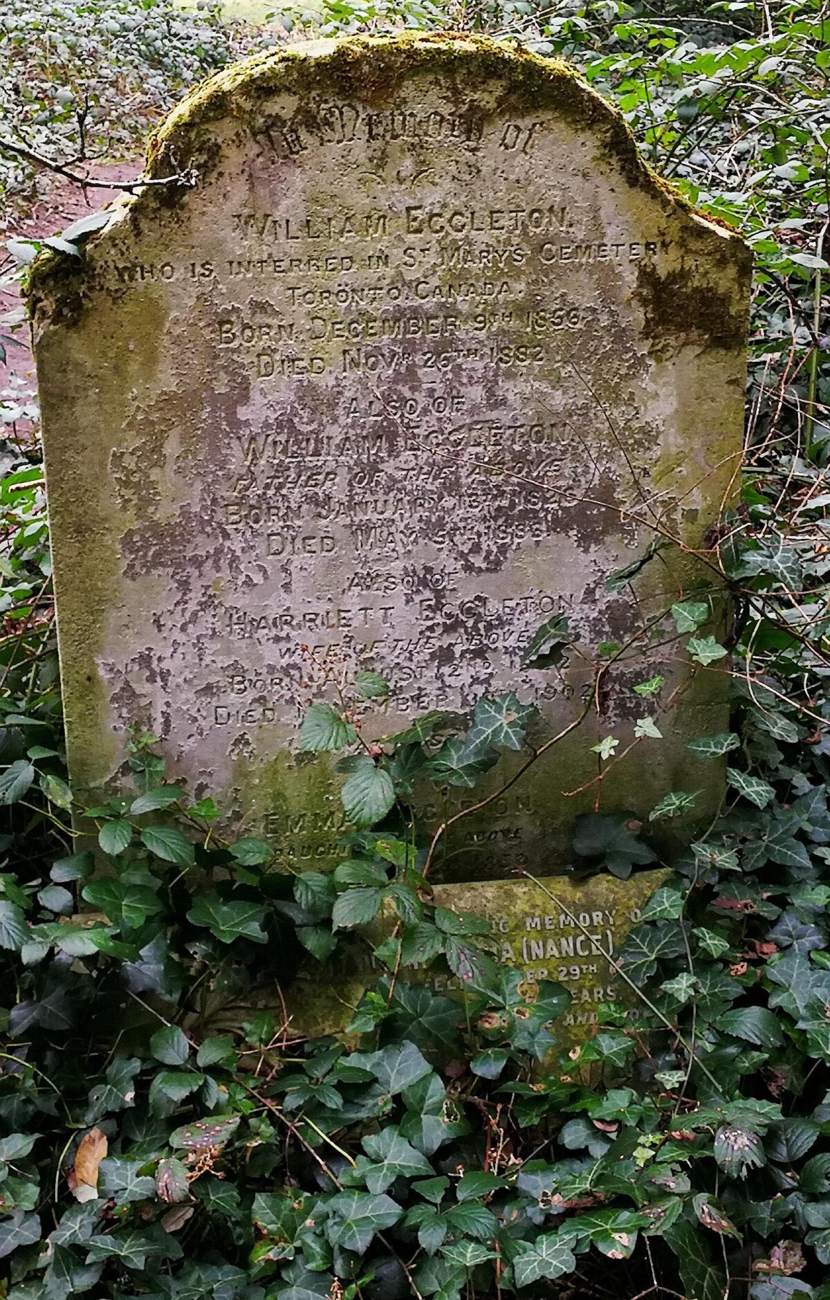 Gravestone William Eccleton Covered with Ivy