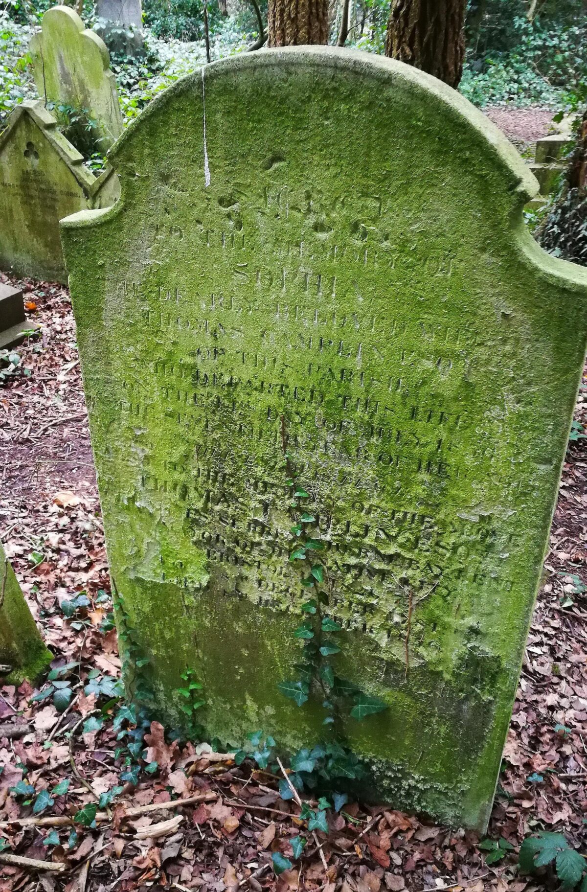 Gravestone for Sophie covered in lichen and moss Old Barnes Cemetery