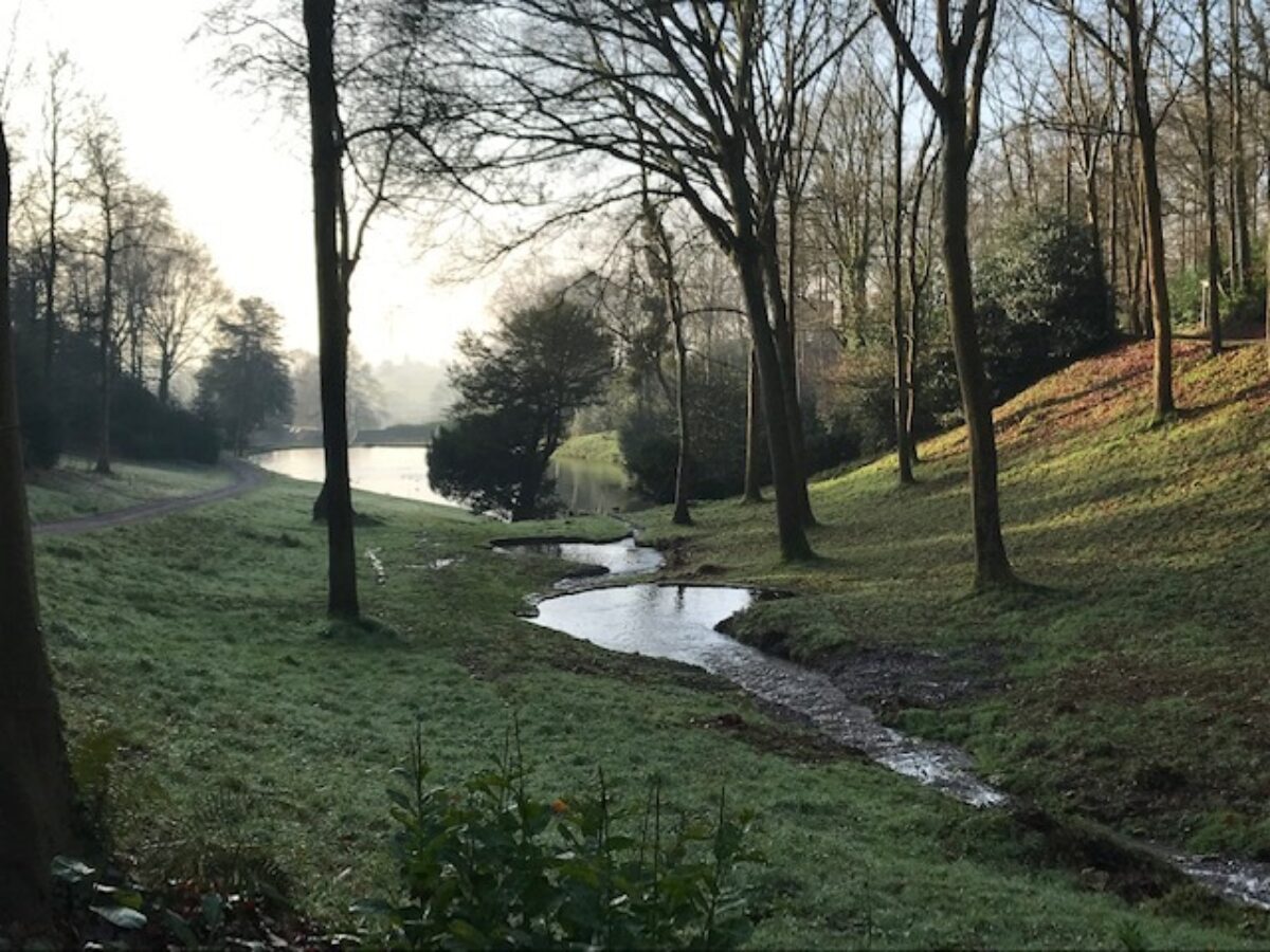 Hestercombe view lake