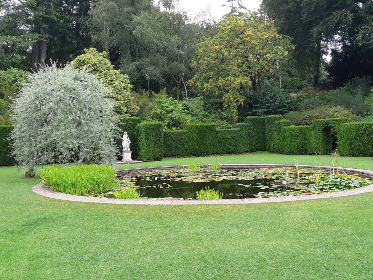 Secret garden with pond