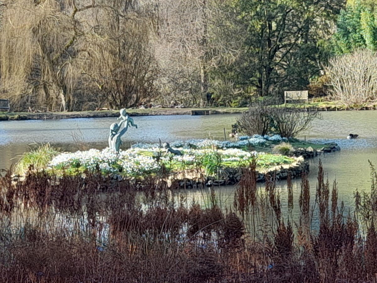 Marwood snowdrop lake