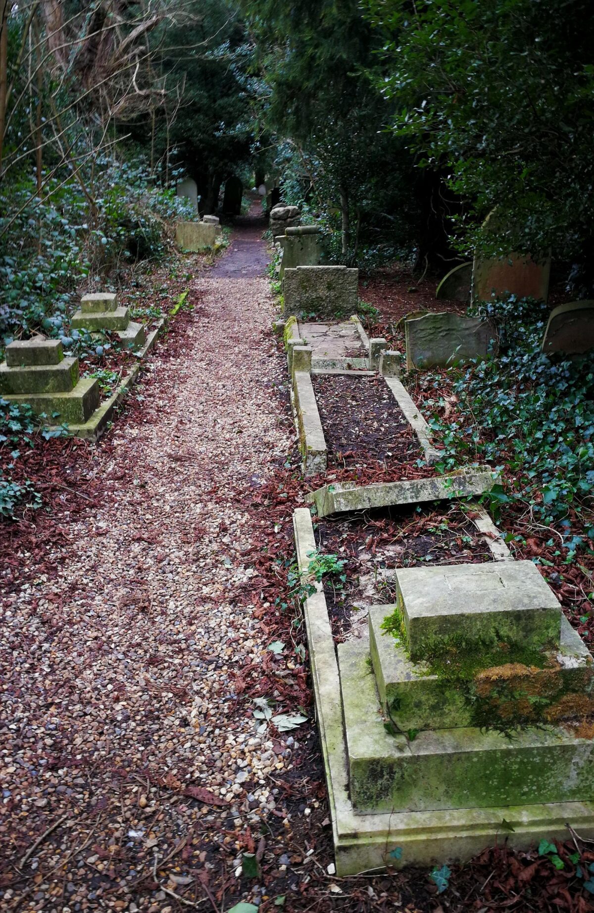 Multiple uncared for graves covered in autumn leaves Old Barnes Cemetery