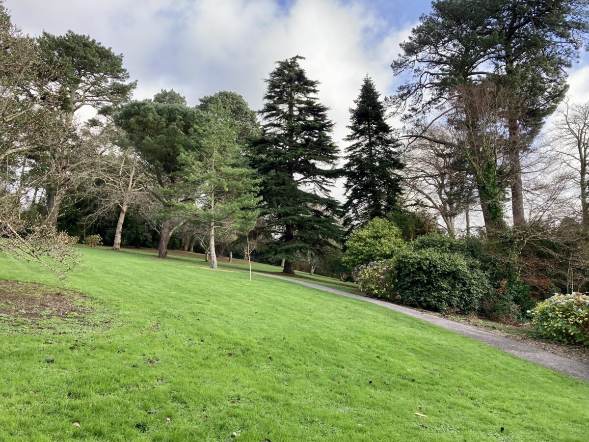 Trelissick Gardens landscape