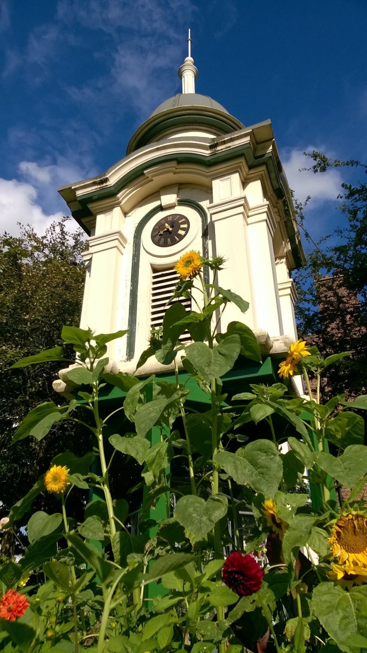 WP 20150827 16 12 06 Pro