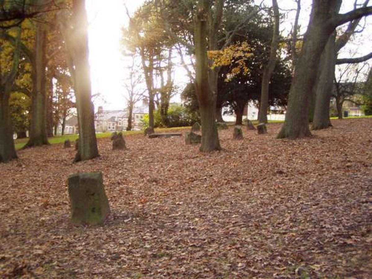 Pgds 20071207 054023 Bellevuepark 154