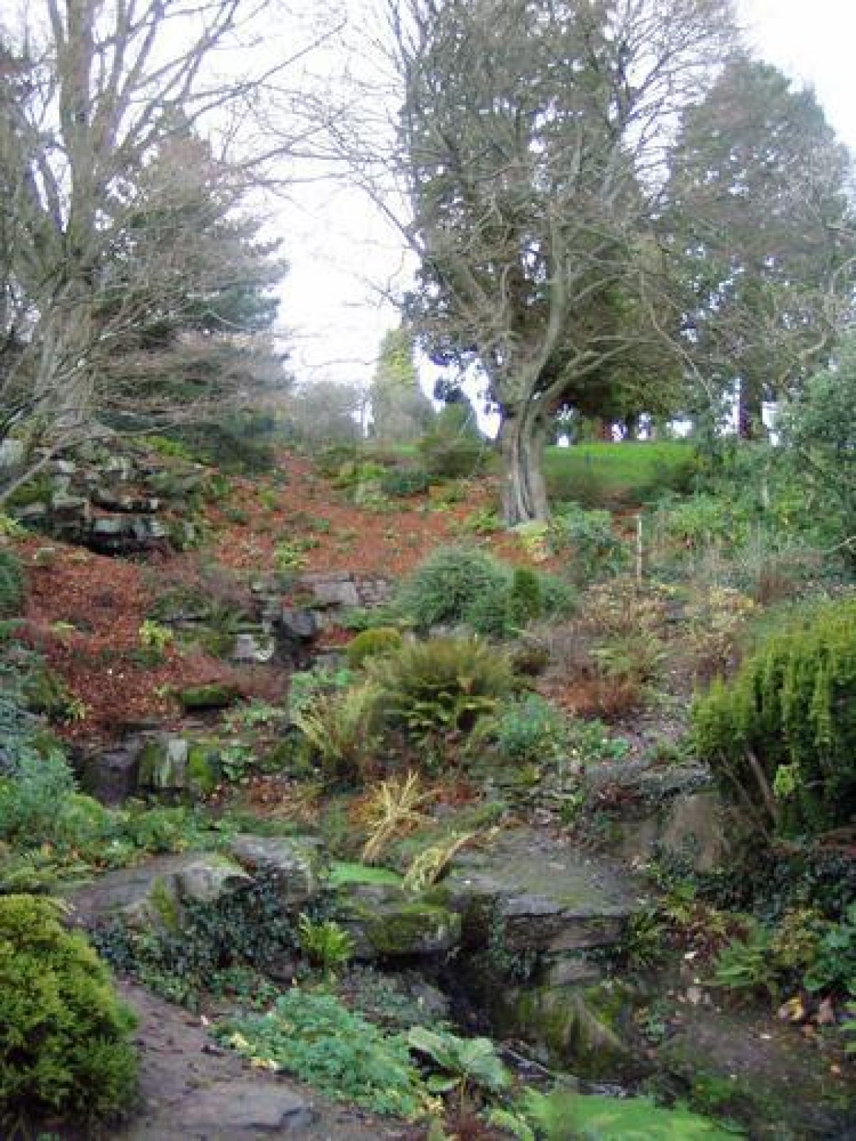 Pgds 20071207 165539 Bellevuepark 119