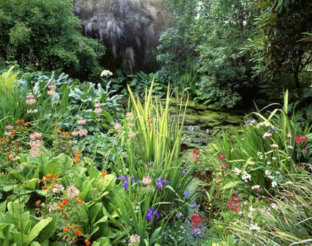 Pgds 20080428 154739 Inverewe 36