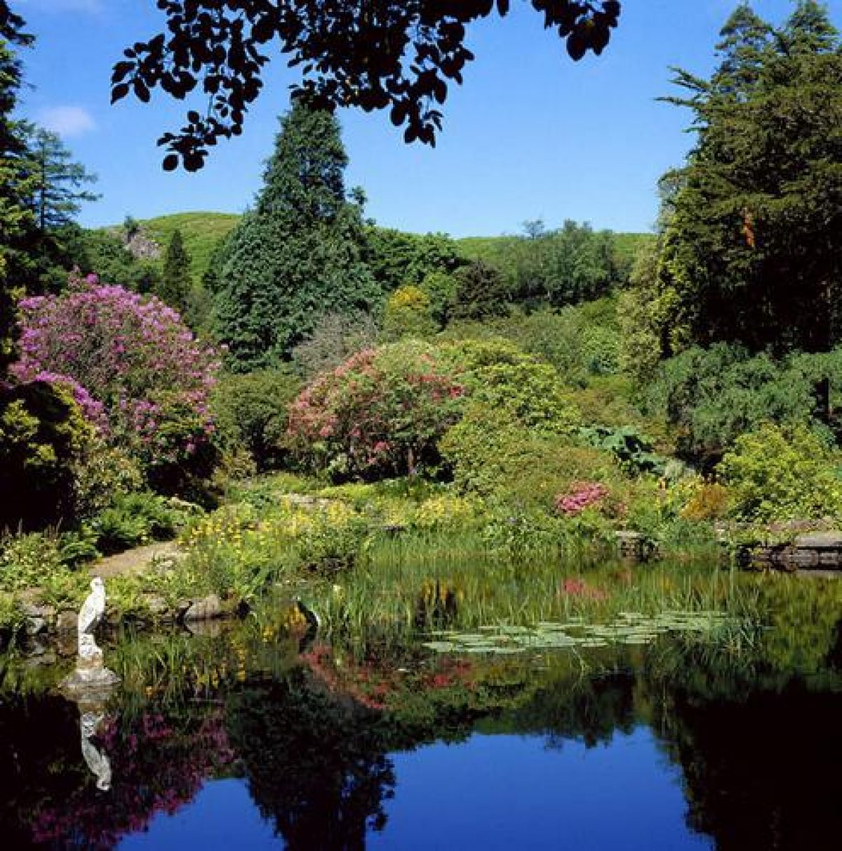 Pgds 20080501 105309 Arduaine Garden 32