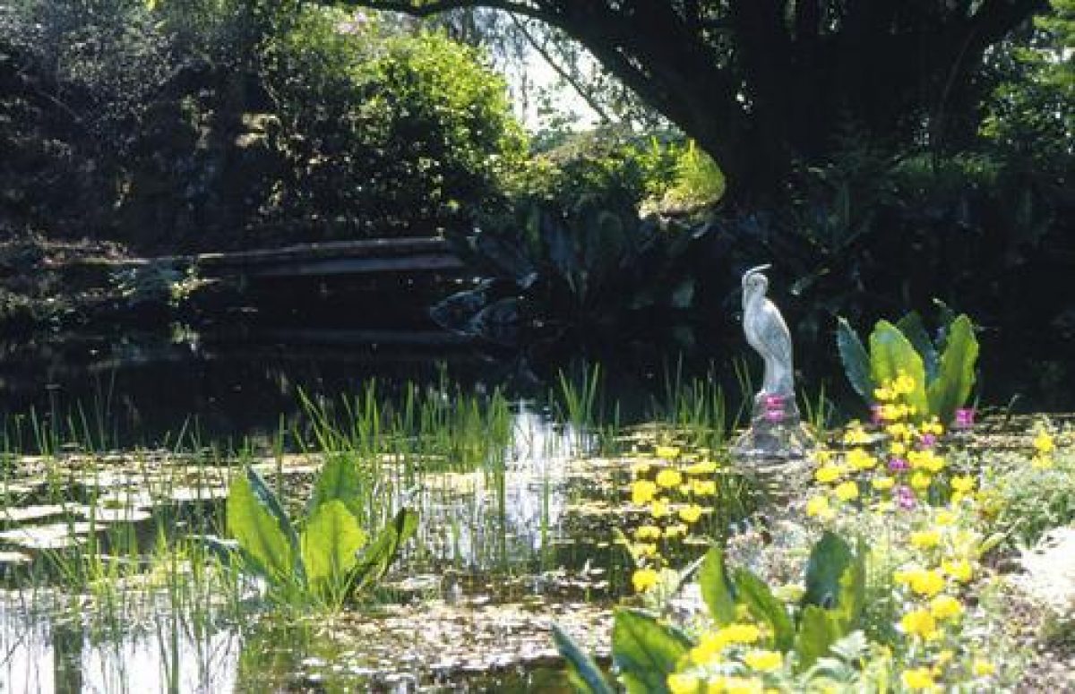 Pgds 20080501 110709 Arduaine 47