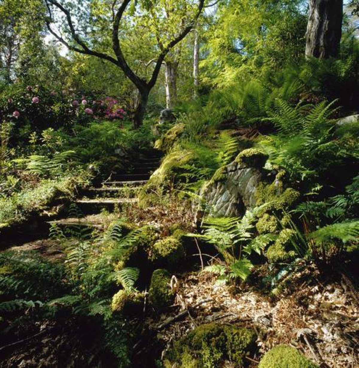 Pgds 20080501 115139 Balmacara 9