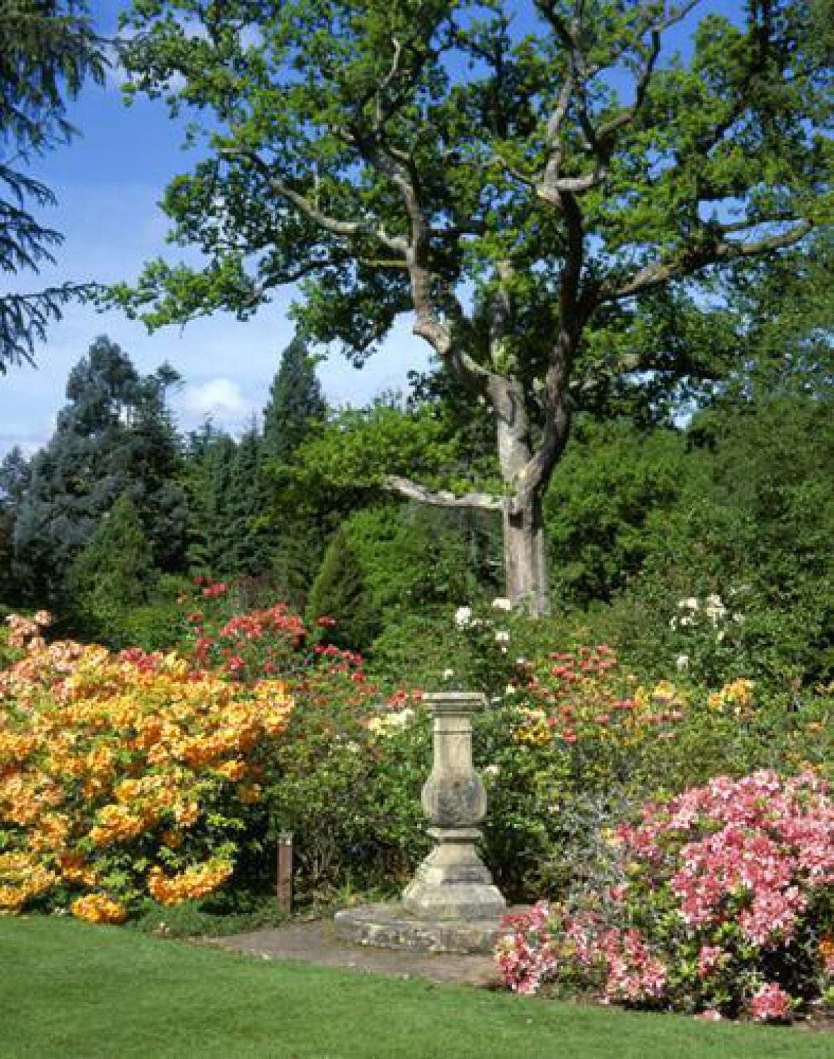 Pgds 20080501 125319 Brodick Castle 11