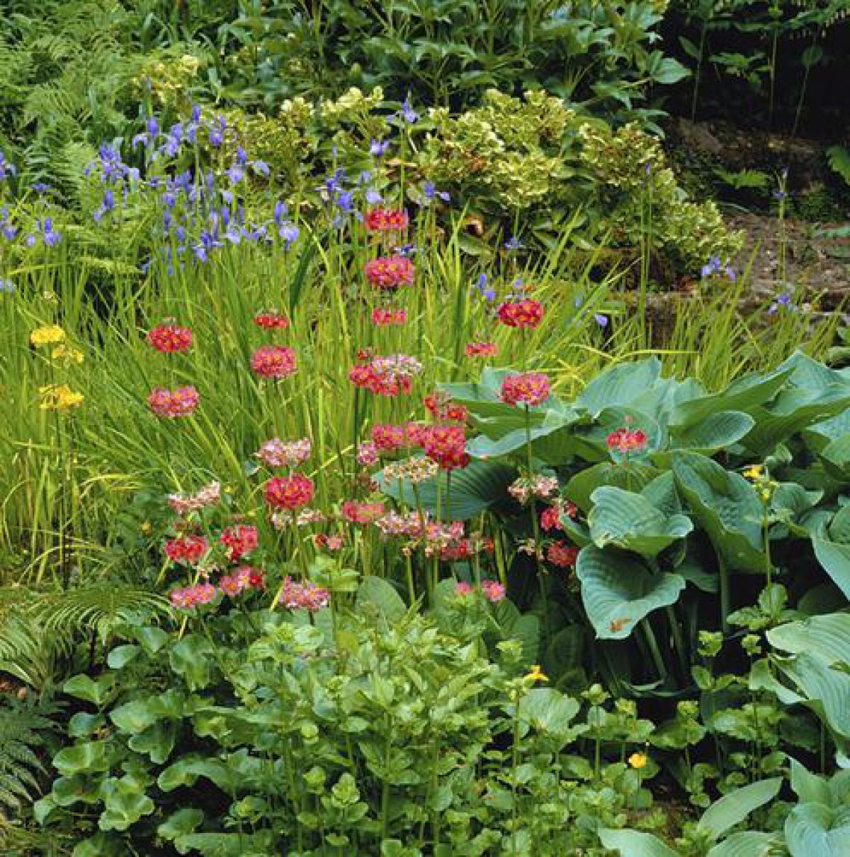 Pgds 20080501 130038 Brodick Castle 12