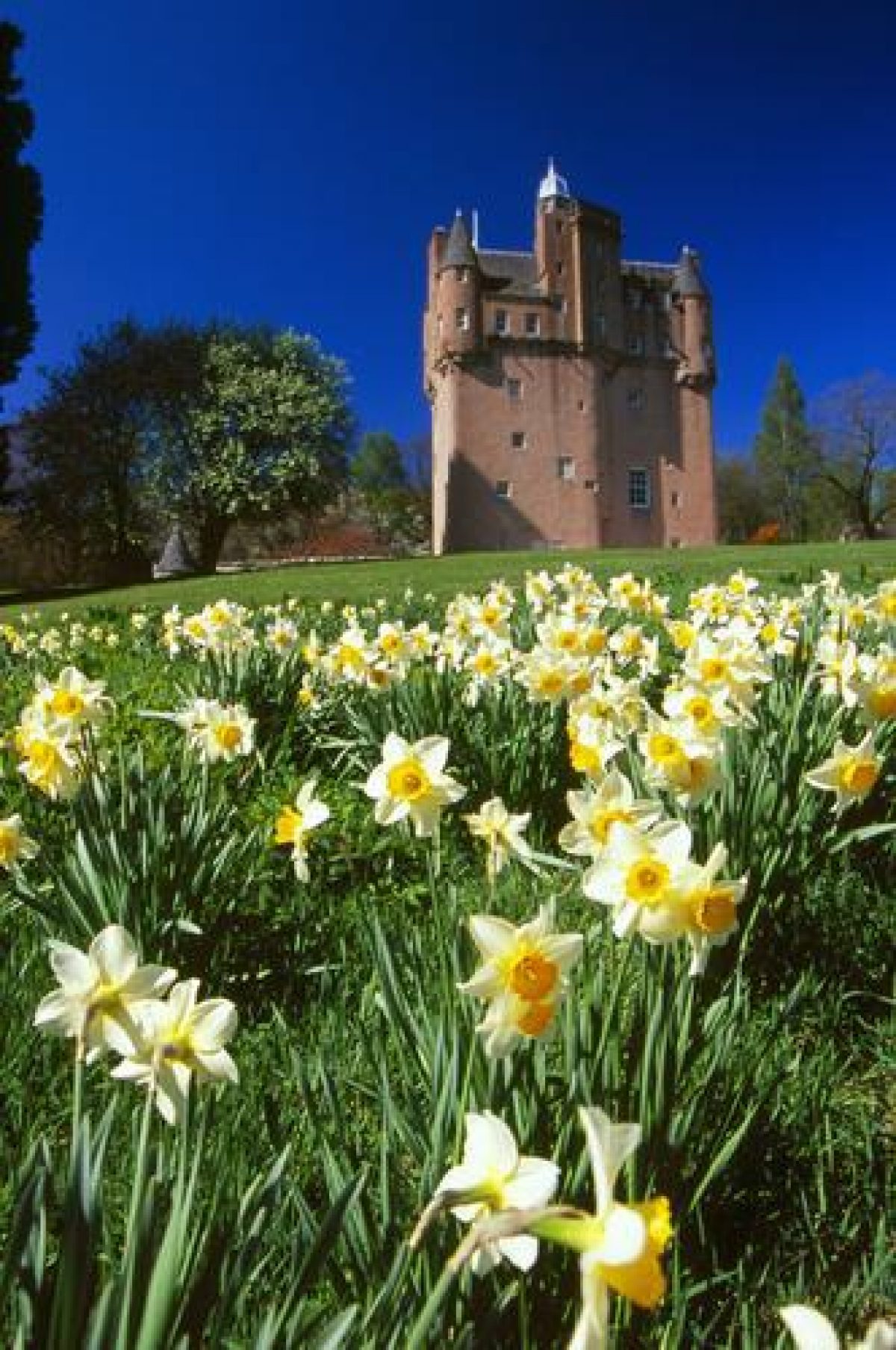 Pgds 20080501 150950 Craigievar Castle 33 Jh
