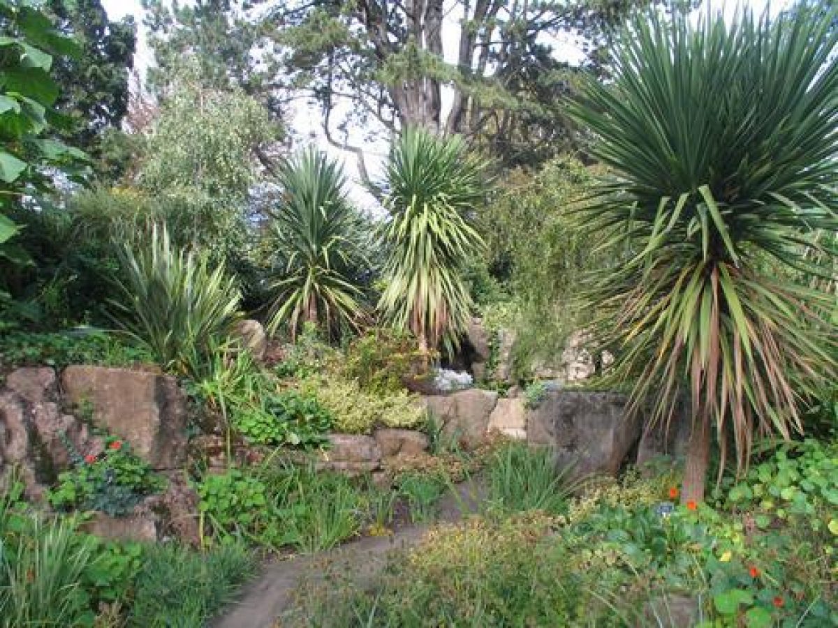 Pgds 20080606 123426 142 4223