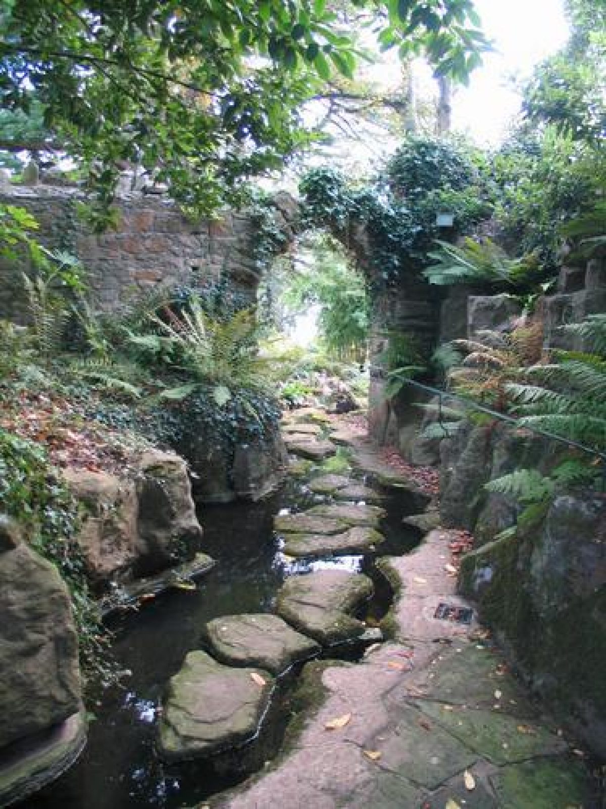 Pgds 20080606 133336 142 4242