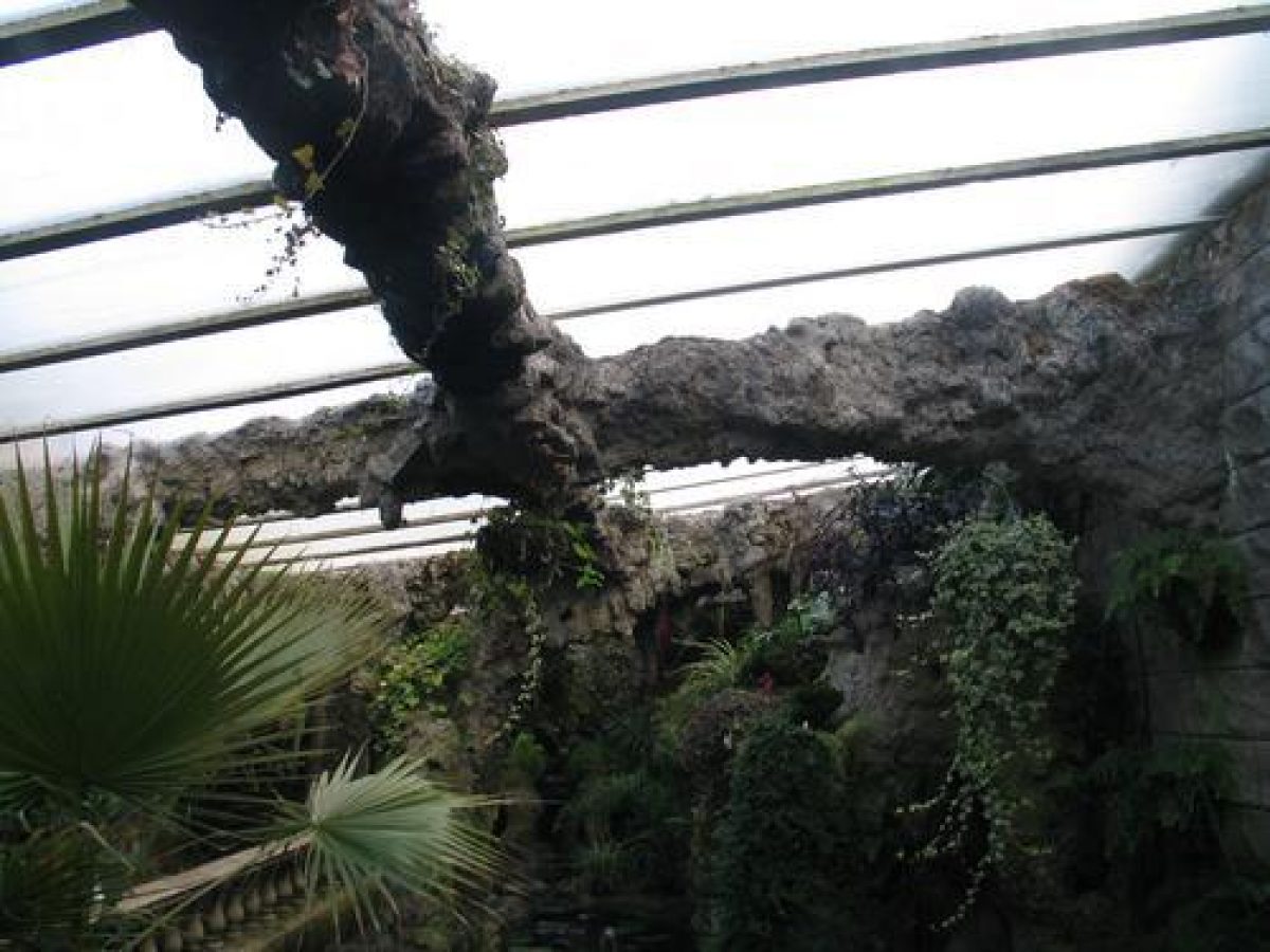 Pgds 20080606 145927 142 4255