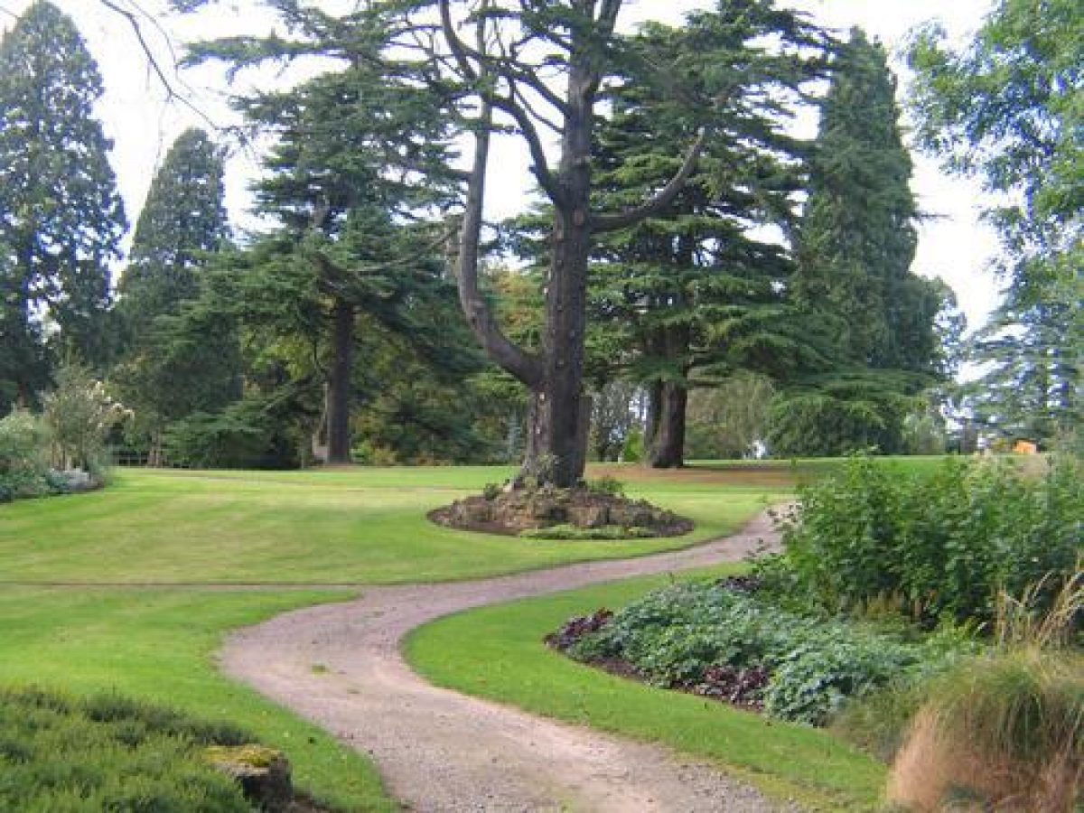 Pgds 20080606 150641 142 4232