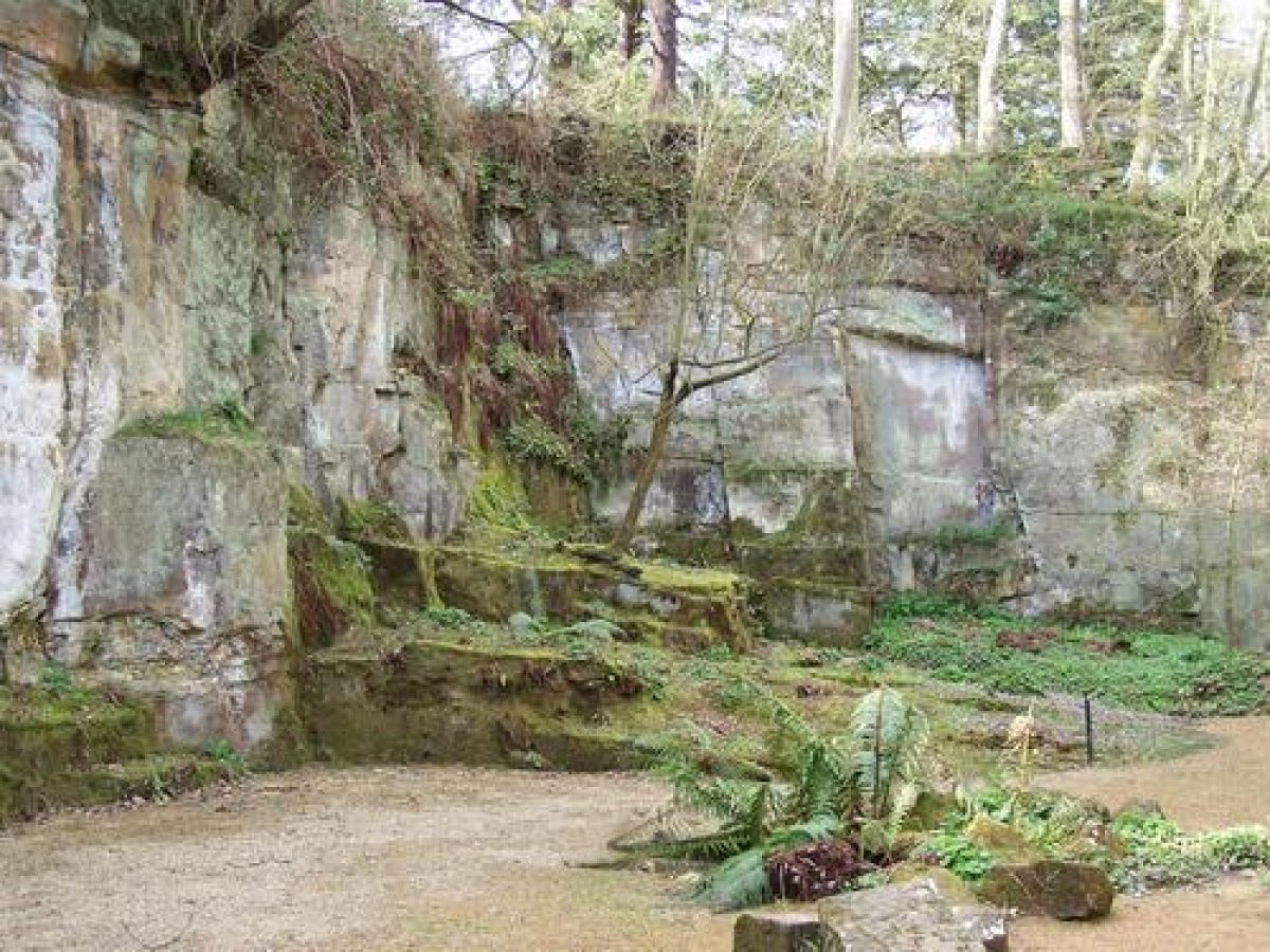 Pgds 20080607 204321 Quarry Extension