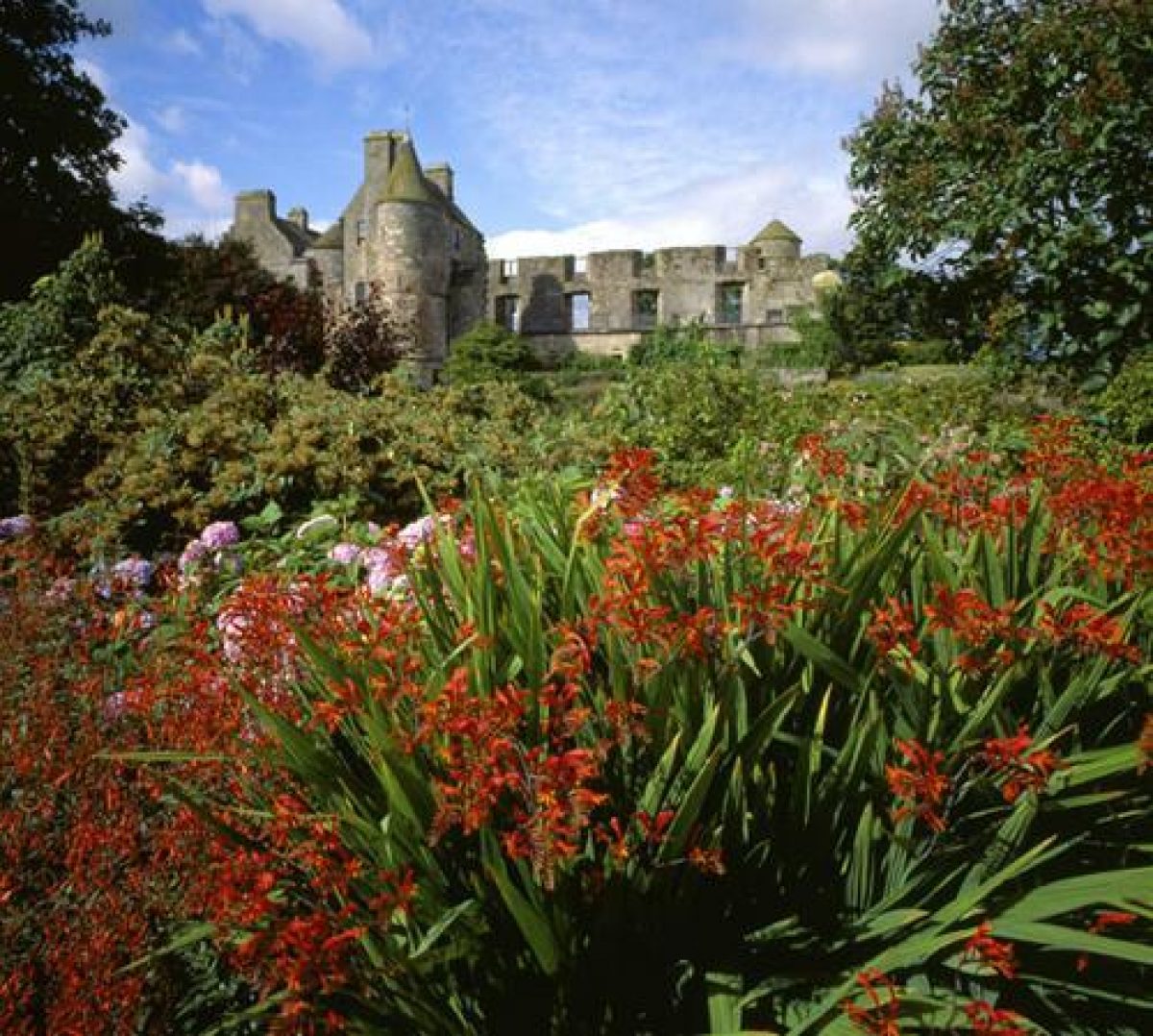 Pgds 20080623 094813 Falkland Palace 7