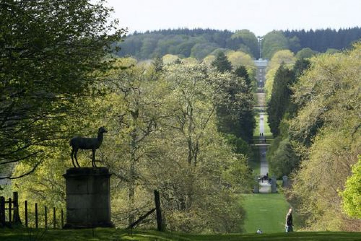 Pgds 20080623 103037 Haddo House 46