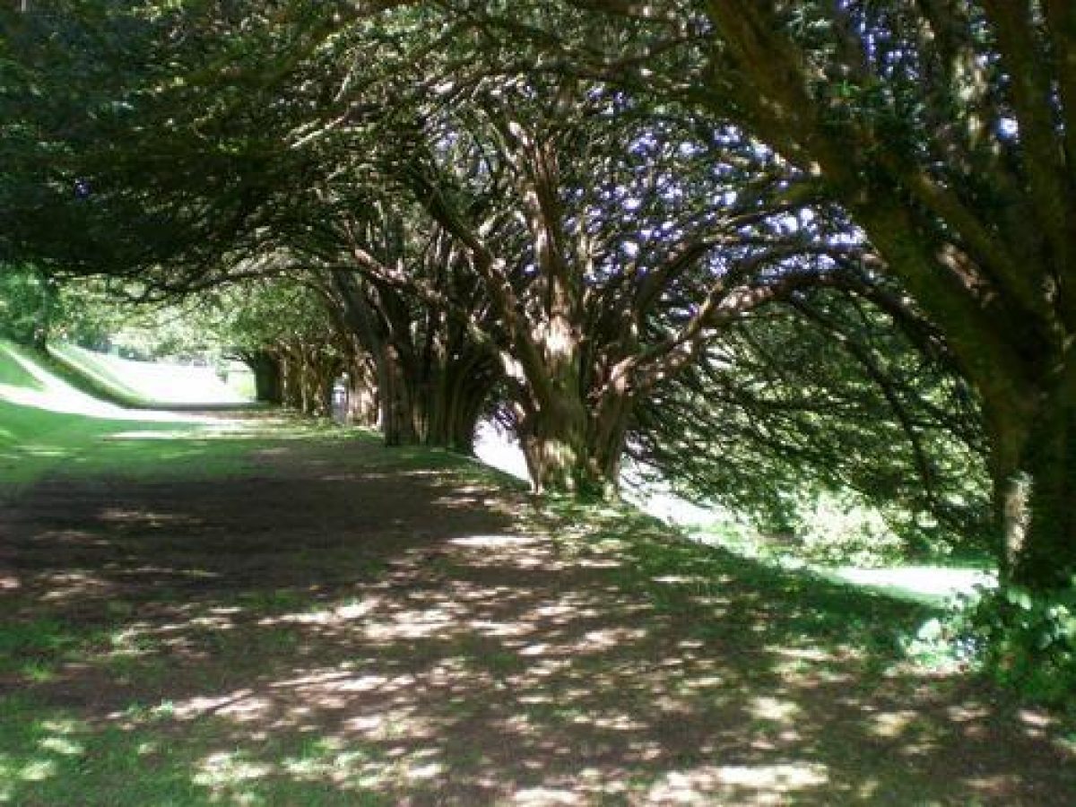 Pgds 20080706 221711 Drumlanrigg Castle June 2008 13