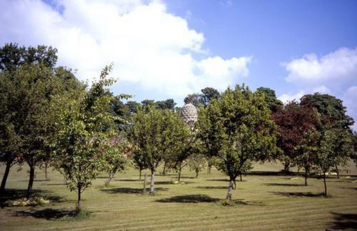 Pgds 20080708 144533 The Pineapple 30